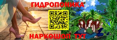 стафф Будённовск