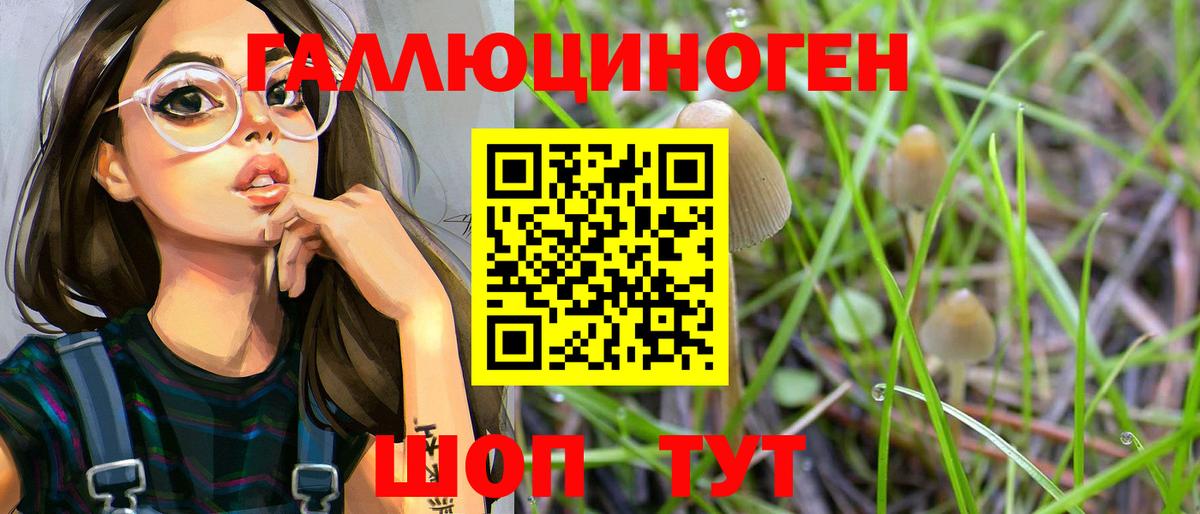 Галлюциногенные грибы Psilocybe  Вход с VPN  Галлюциногенные грибы мицелий  Кубинка 